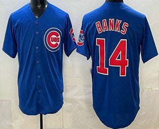 Chicago Cubs #14 Ernie Banks Blue REYNOLDS Limited Jersey