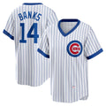 Chicago Cubs #14 Ernie Banks White REYNOLDS Home Cooperstown Collection Player Jersey