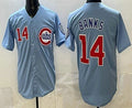 Chicago Cubs #14 Ernie Banks Baby Blue REYNOLDS Limited Jersey
