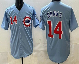 Chicago Cubs #14 Ernie Banks Baby Blue REYNOLDS Limited Jersey